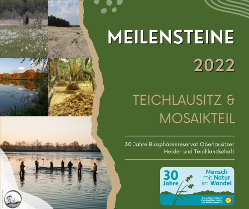 Teichlausitz u. MosaikTeil